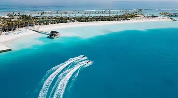 Joy Island by the Cocoon Collection