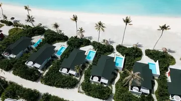 Joy Island by the Cocoon Collection