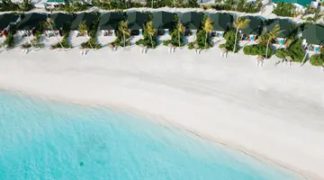 JOY ISLAND