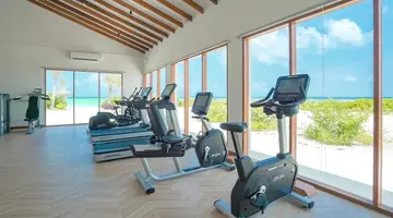 JOY ISLAND