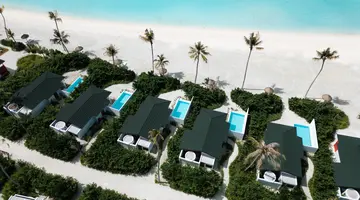 JOY ISLAND