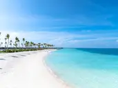 Joy Island