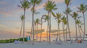 JOY ISLAND