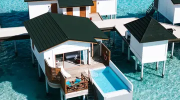 JOY ISLAND