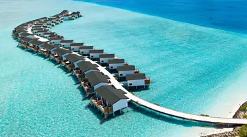 JOY ISLAND