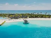 Joy Island