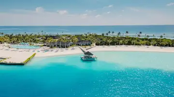 Joy Island