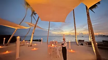 JOY ISLAND