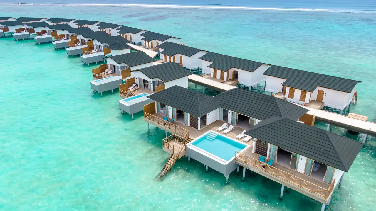 JOY ISLAND