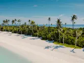 JOY ISLAND