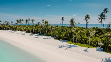 JOY ISLAND