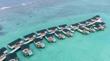 JOY ISLAND