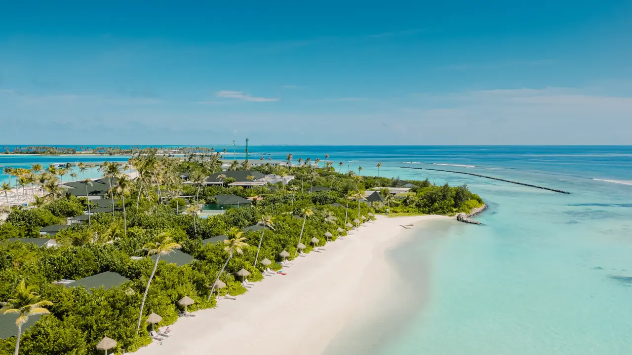 JOY ISLAND