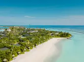 JOY ISLAND