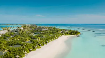 JOY ISLAND