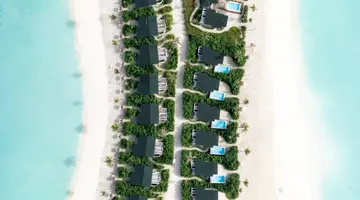 JOY ISLAND