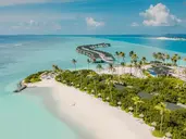 Joy Island