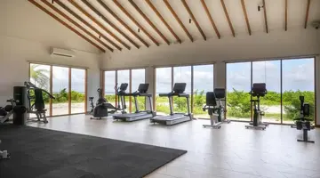 Joy Island