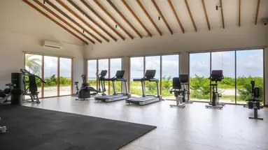 Joy Island