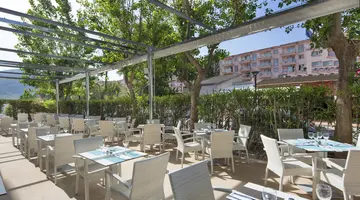 JS Sol De Alcudia Hotel