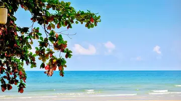 Kacha Resort & Spa