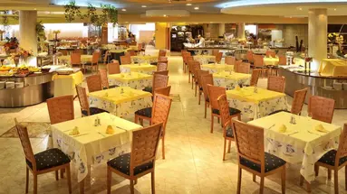 Kaktus Albir