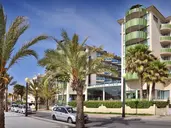 Kaktus Albir