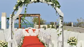 Kaktus Albir