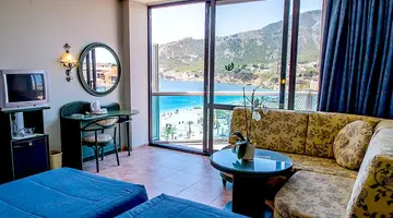 Kaktus Albir