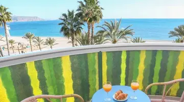 Kaktus Albir