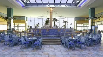 Kaktus Albir