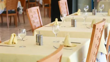 Kaktus Albir