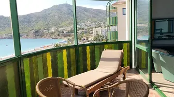 Kaktus Albir