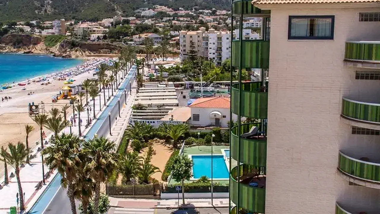 Kaktus Albir