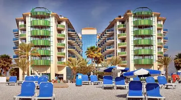 Kaktus Albir