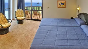 Kaktus Albir