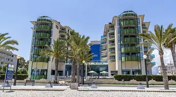 Kaktus Albir