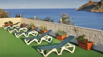 Kaktus Albir