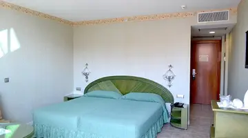Kaktus Albir
