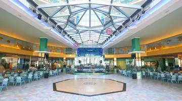 Kaktus Albir
