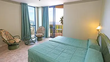 Kaktus Albir