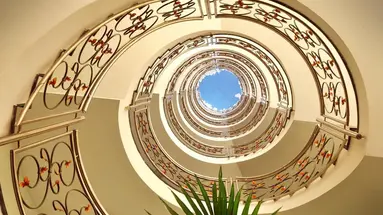 Kaktus Albir