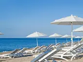 Kaktus Playa