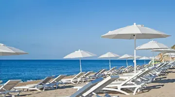 Kaktus Playa
