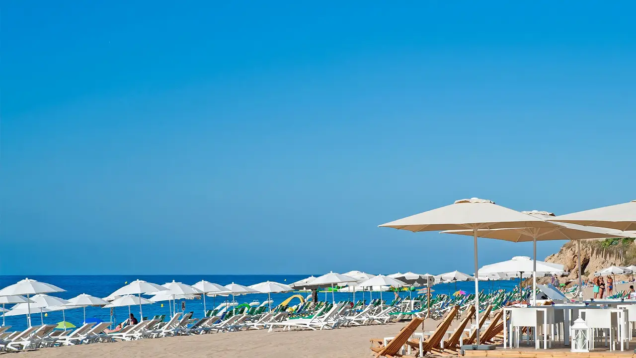 Kaktus Playa