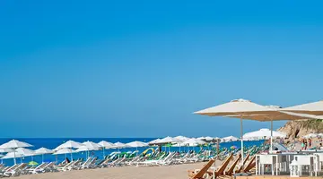 Kaktus Playa