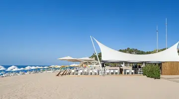 Kaktus Playa