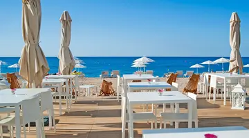Kaktus Playa