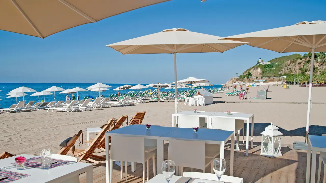 Kaktus Playa