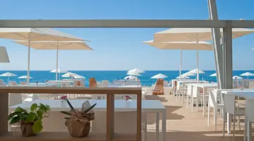 Kaktus Playa